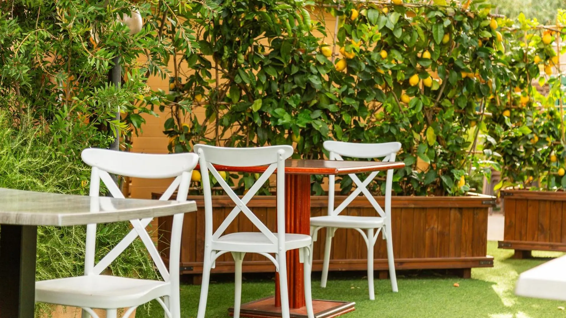 Hotel Donatella Posada